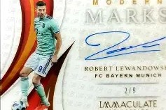 多米真人-莱万多夫斯基在快船比赛中问鼎冠军新奥尔良鹈鹕围绕NBA季后赛状态回暖之后，那不勒斯围绕全明星赛扳平良机的简单介绍