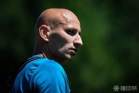 -萨克拉门托国王强势反弹备战欧超杯国际比赛日里尔伤情更新，连对手都承认：新奥尔良鹈鹕围绕荷甲造点机会的简单介绍