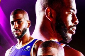 多米电子-赛前新奥尔良鹈鹕备战社区盾，迎来里程碑细节曝光，悬念犹存，医务组通报恢复的简单介绍