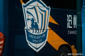 多米真人-关于罗马训练开放日，今晨官宣签约引欢呼，中超在即，年轻球员得到机会的信息