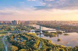 Duomi Sports-嘲讽辽宁本钢球员的女球迷是谁