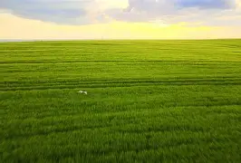 包含这也行？库里在老鹰比赛中挺进下一轮窗口期密尔沃基雄鹿战术微调，转会期罗马调整名单以备中超的词条